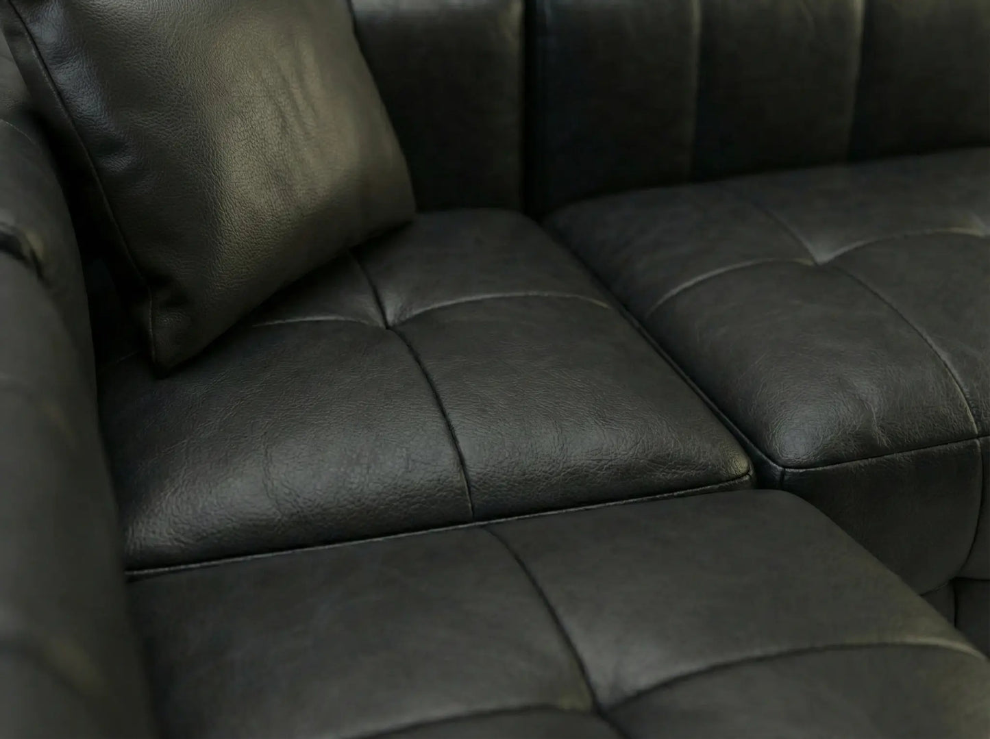 EON-SF008 Noir Modular Sectional - Leather Texture Macro Detail