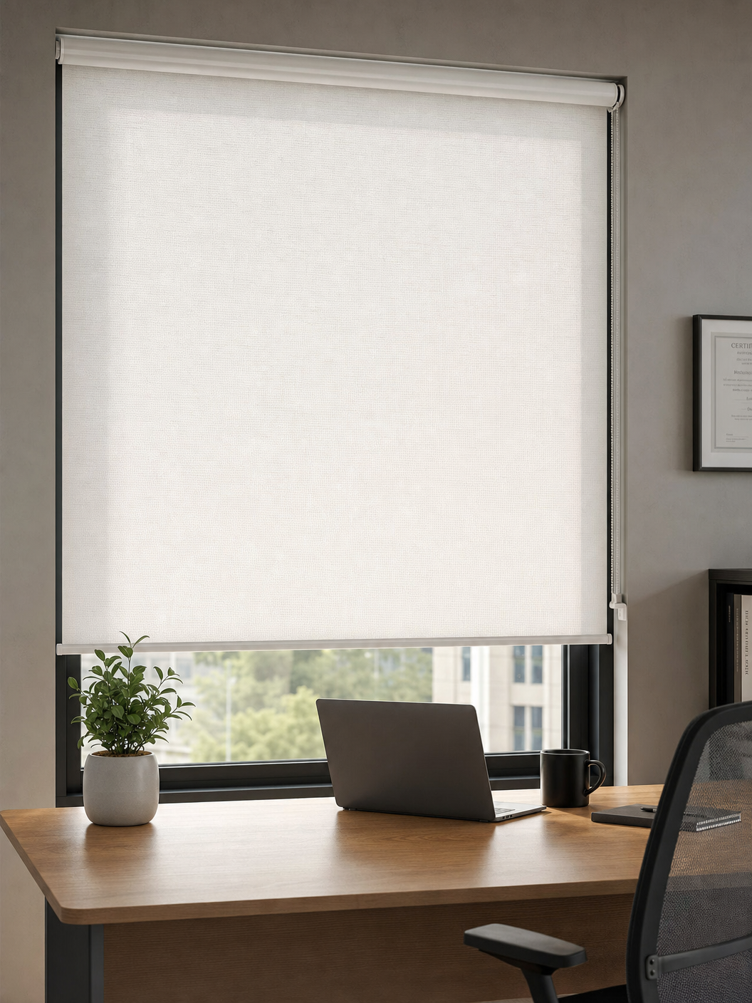 Office Blinds